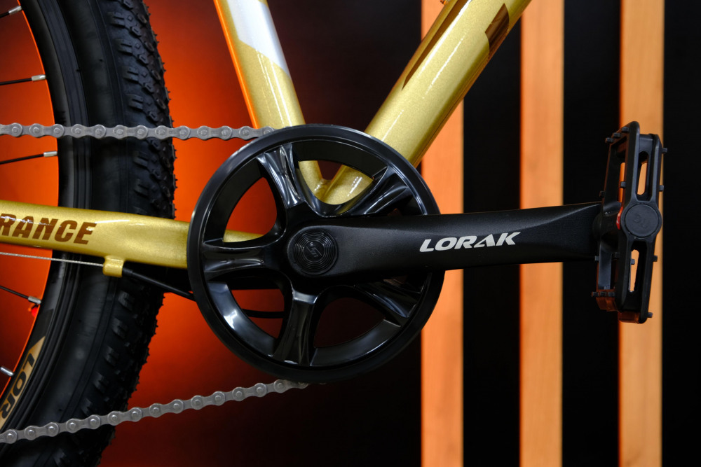 LORAK GLORY 9 Золотисто Серый рама 19 (на рост 171-182)